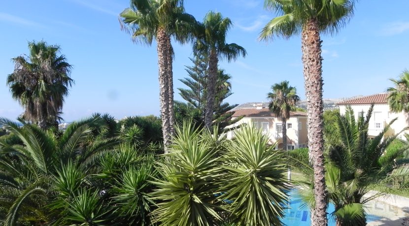 palmbomen en zwembad vanuit balkon