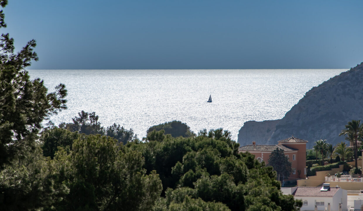 _CED1475